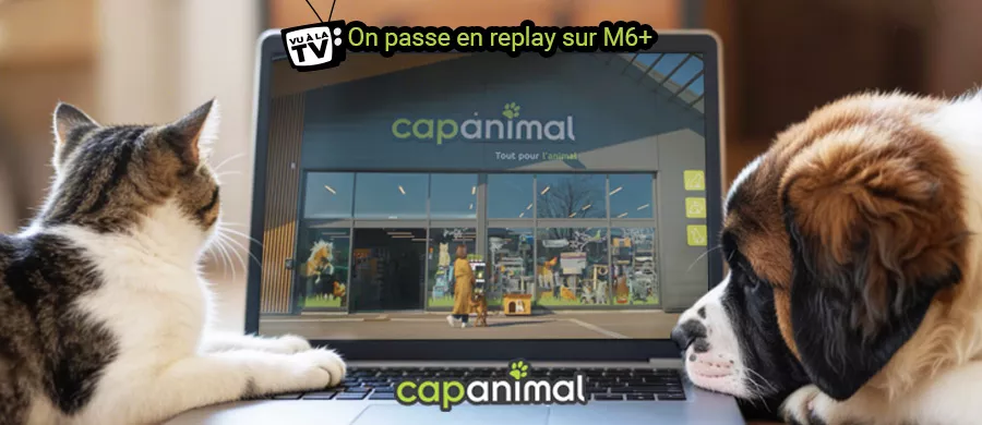 Cap Animal sur M6+