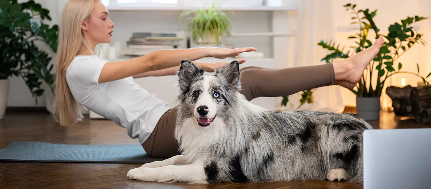Bonnes résolutions 2026 pour le bien-être de votre animal