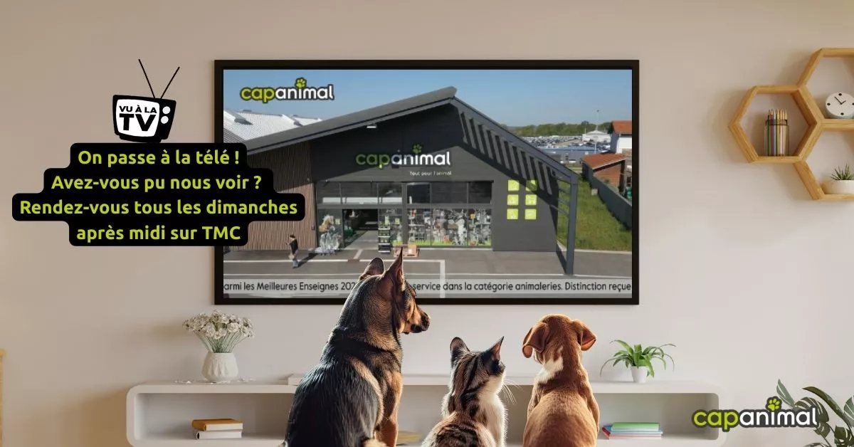 Cap Animal à la télévision : retrouvez nous sur TMC