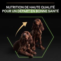 PRO PLAN Chien Large Puppy Athletic Healthy Start Poulet 12KG