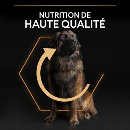 PRO PLAN Chien Large Adult Robust Everyday Nutrition Poulet 14KG