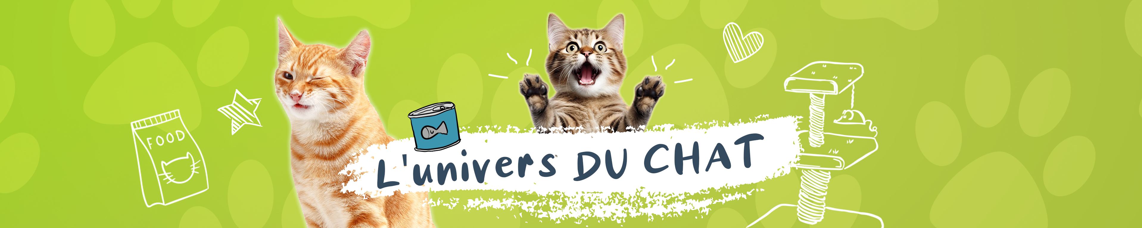 Alimentation pour votre chat