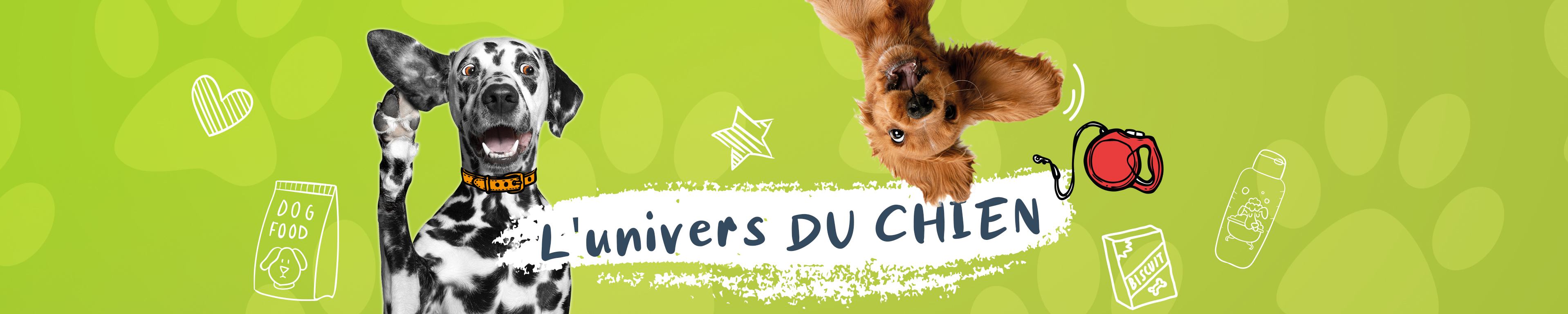 Tout pour votre chien